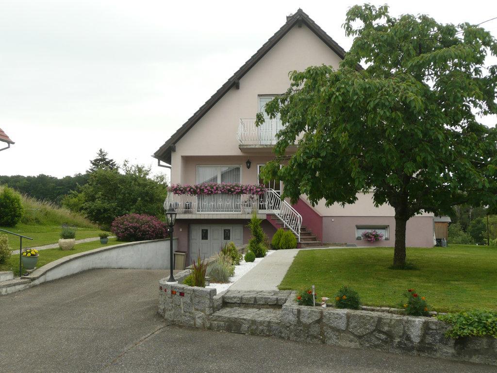 Bed and Breakfast Chez Anny Et Jean Au Mittelbuehl-Reichshoffen Exterior foto
